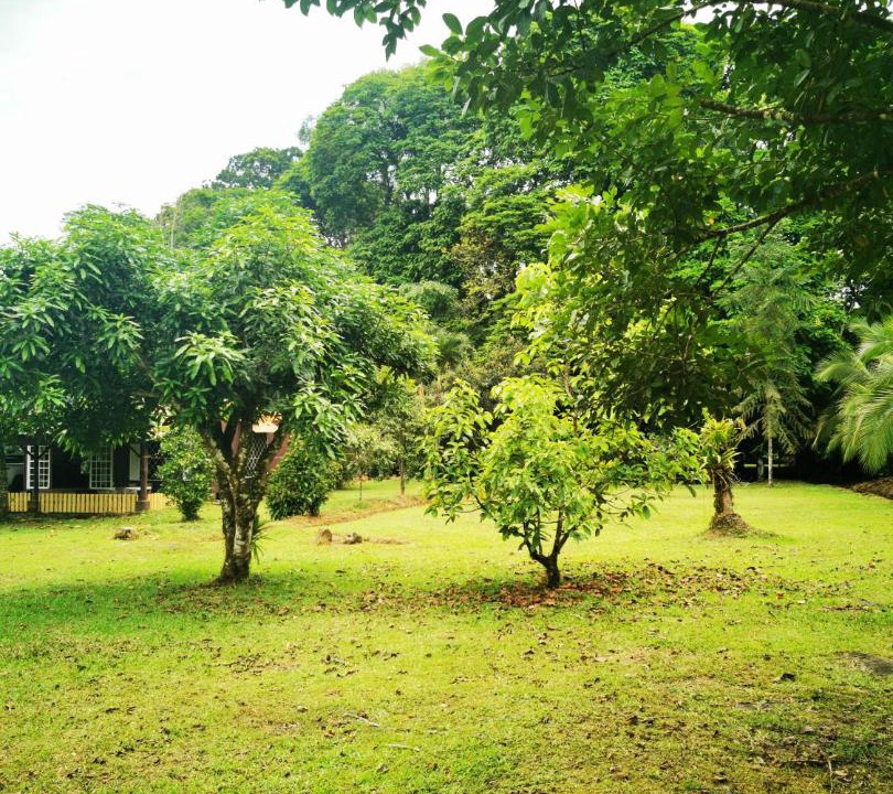 Photo of Outdoor in Las Horquetas