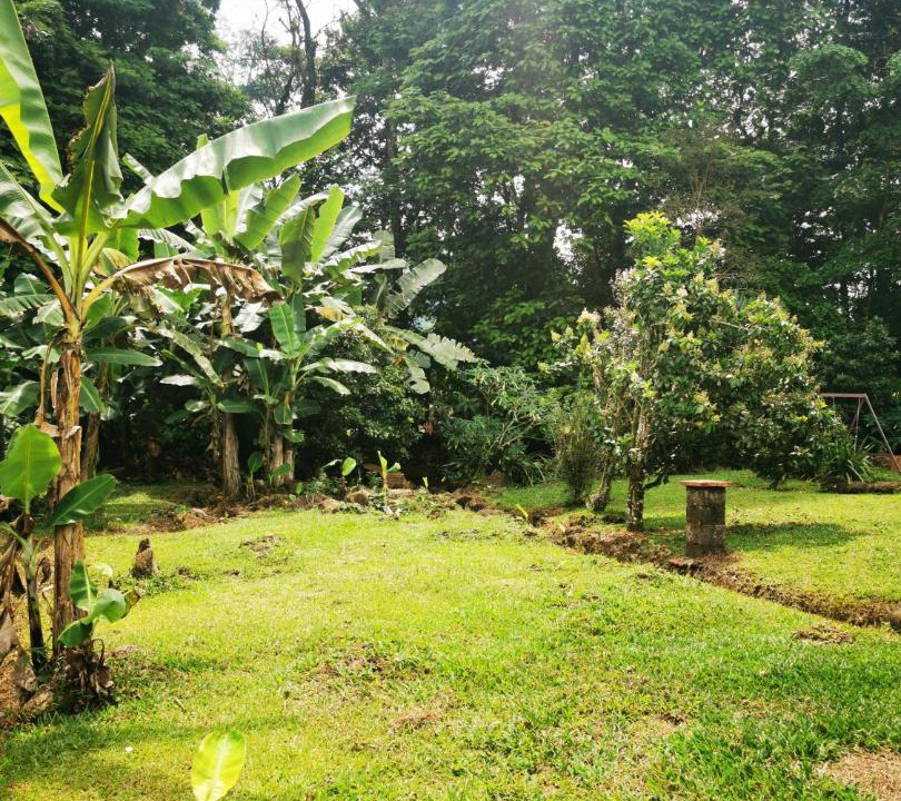 Photo of Outdoor in Las Horquetas