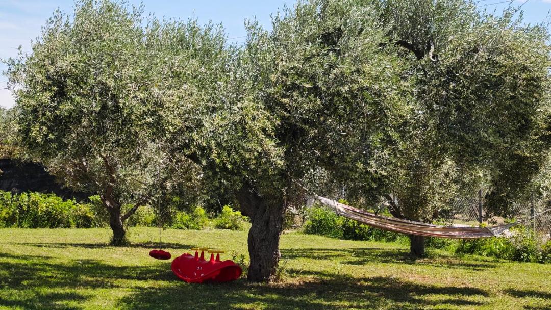 Photo of Outdoor in Alexandroupoli