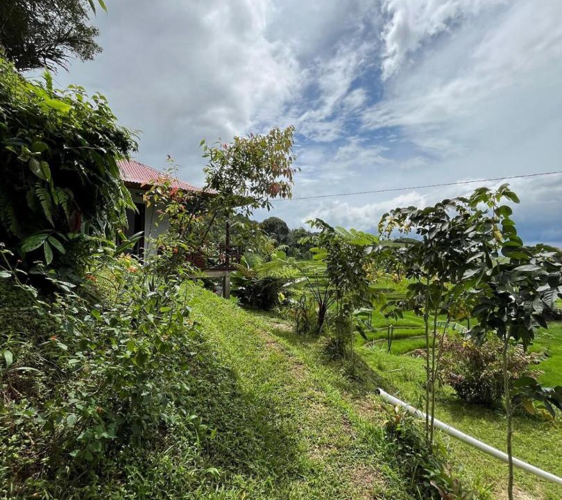 Photo of Others in Sumatra