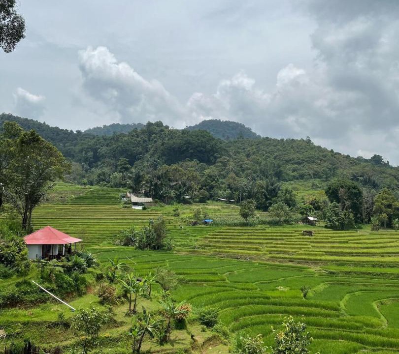 Photo of Others in Sumatra