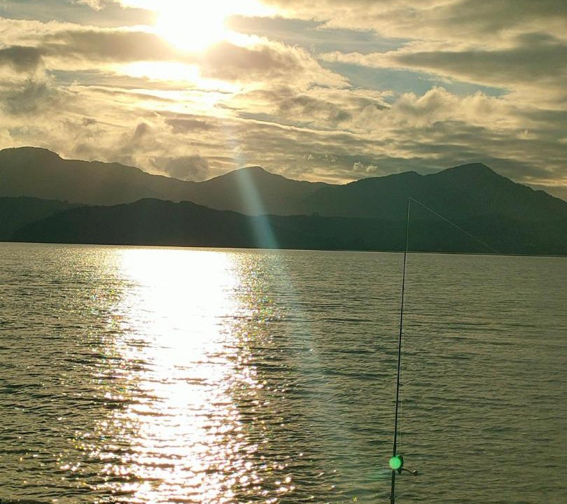 Photo of Others in Whirinaki