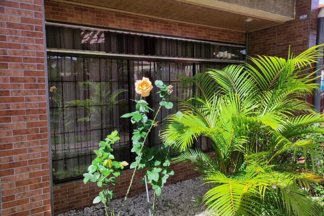 Photo of Patio Balcony in San Jose