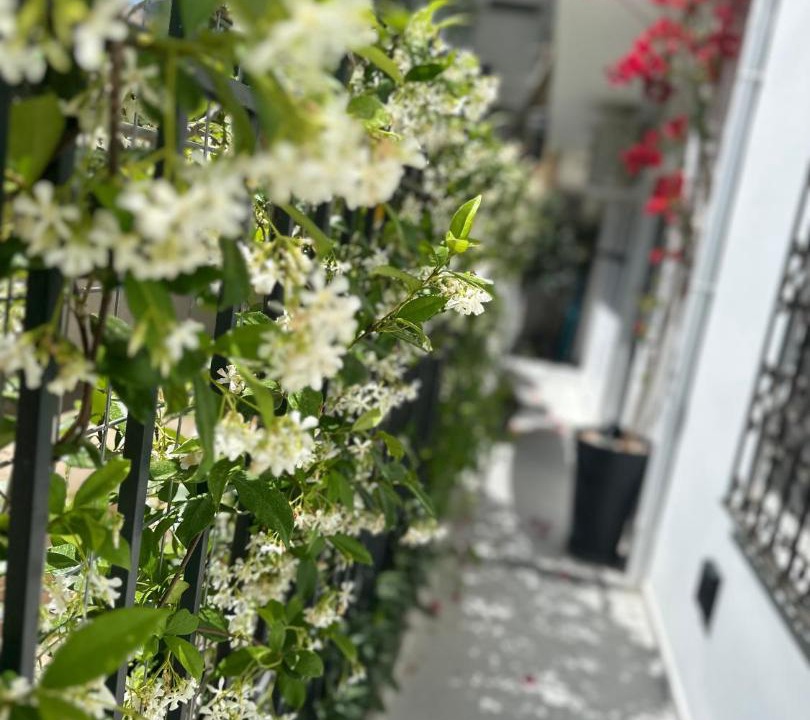 Photo of Others in Palaio Faliro