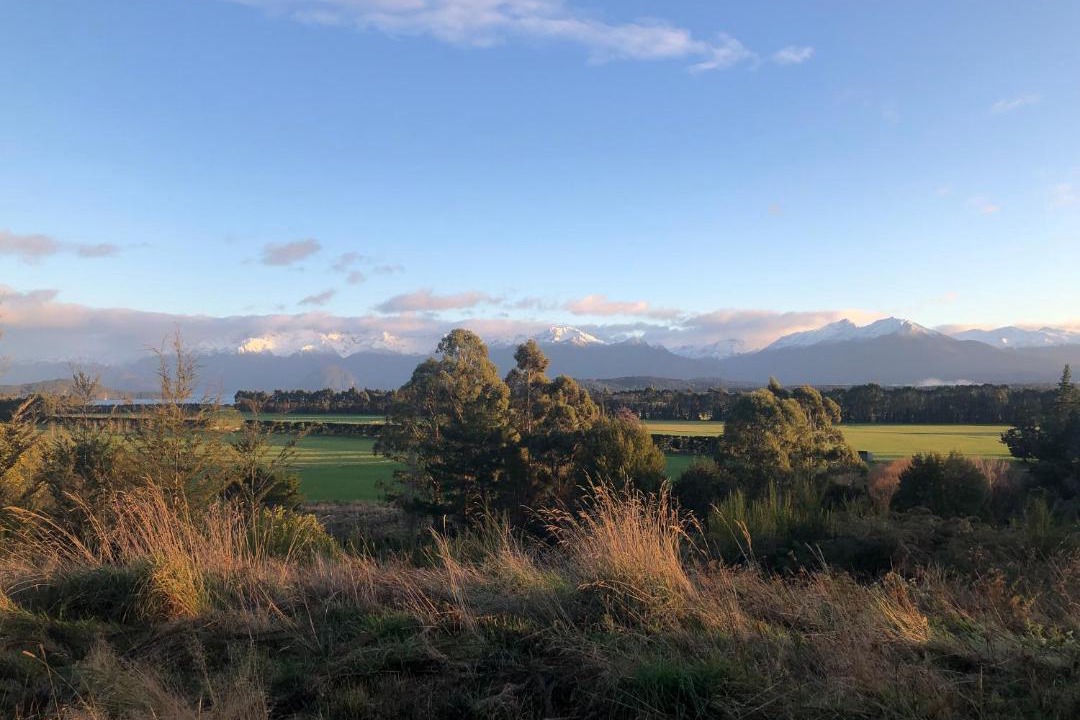 Photo of Others in Manapouri