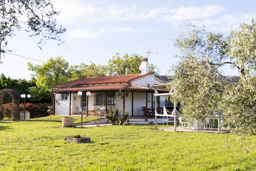 Photo of Others in Alexandroupoli