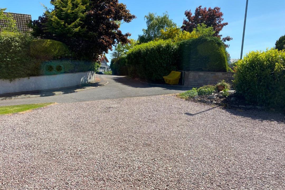 Photo of Others in Fortrose