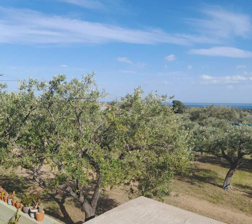 Photo of Others in Alexandroupoli
