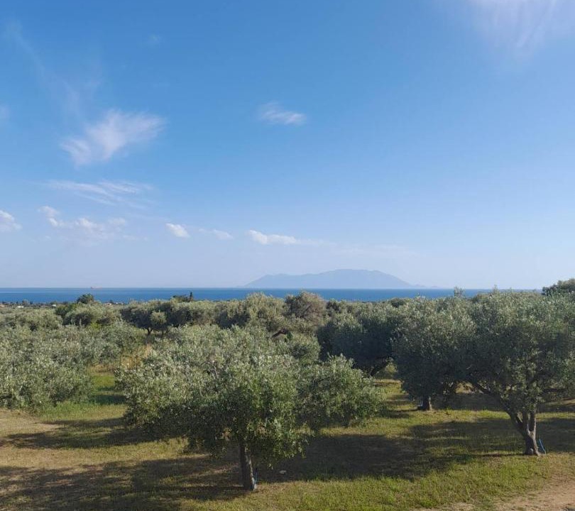 Photo of Others in Alexandroupoli