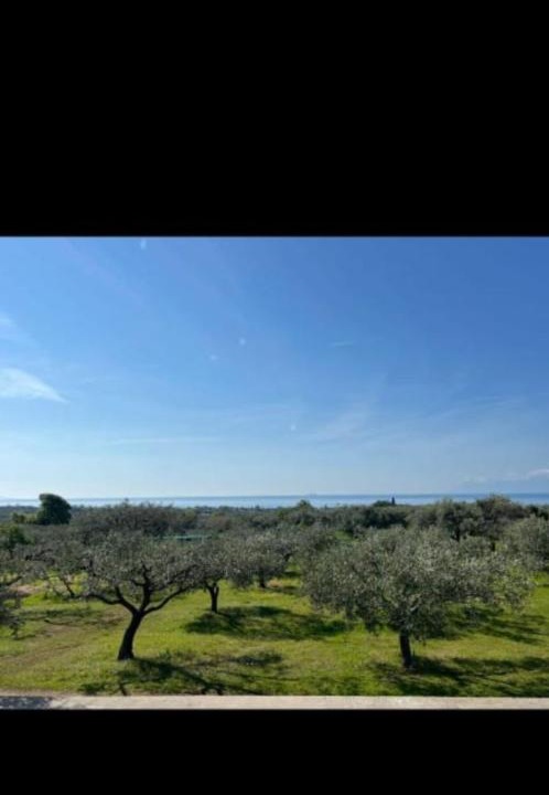 Photo of Others in Alexandroupoli