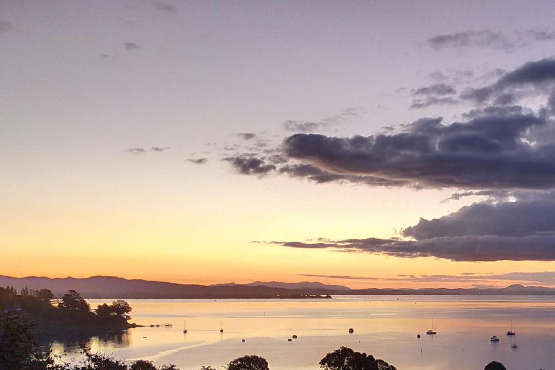 Photo of Others in Whangarei Heads