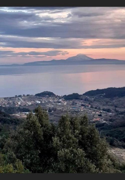 Photo of Others in Aristotelis
