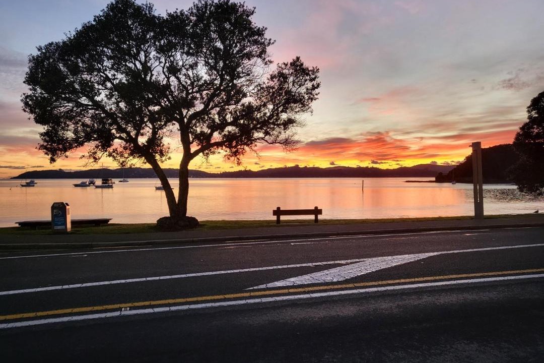 Photo of Others in Paihia
