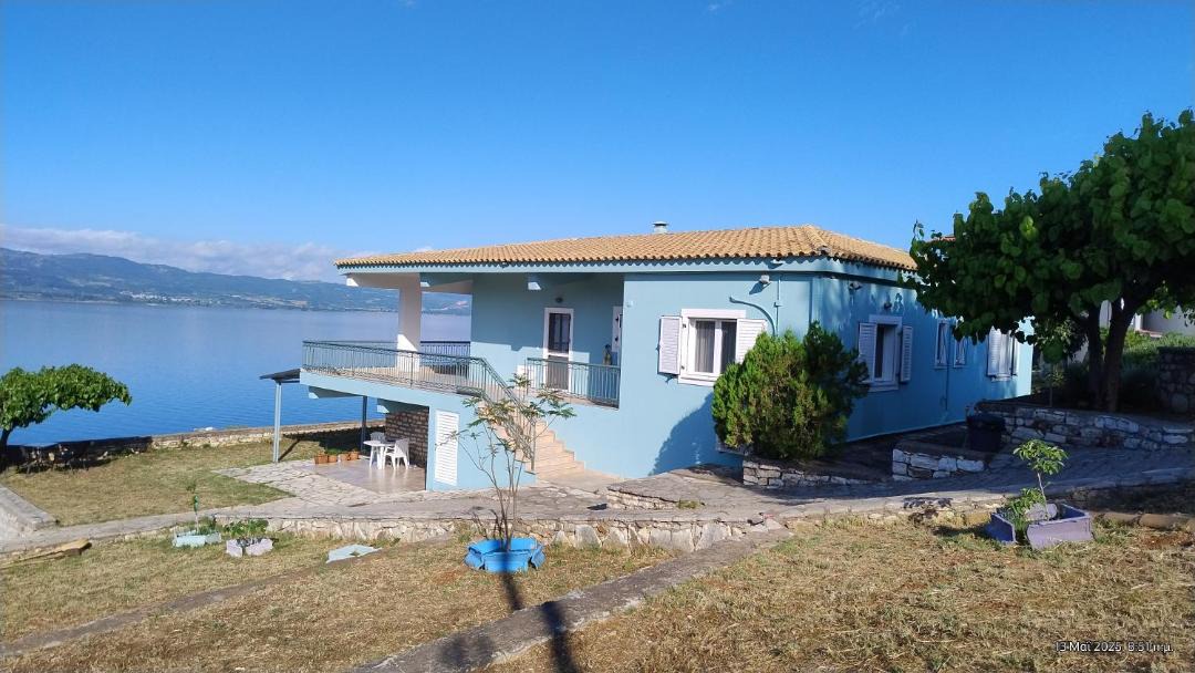 Photo of Others in Sparton