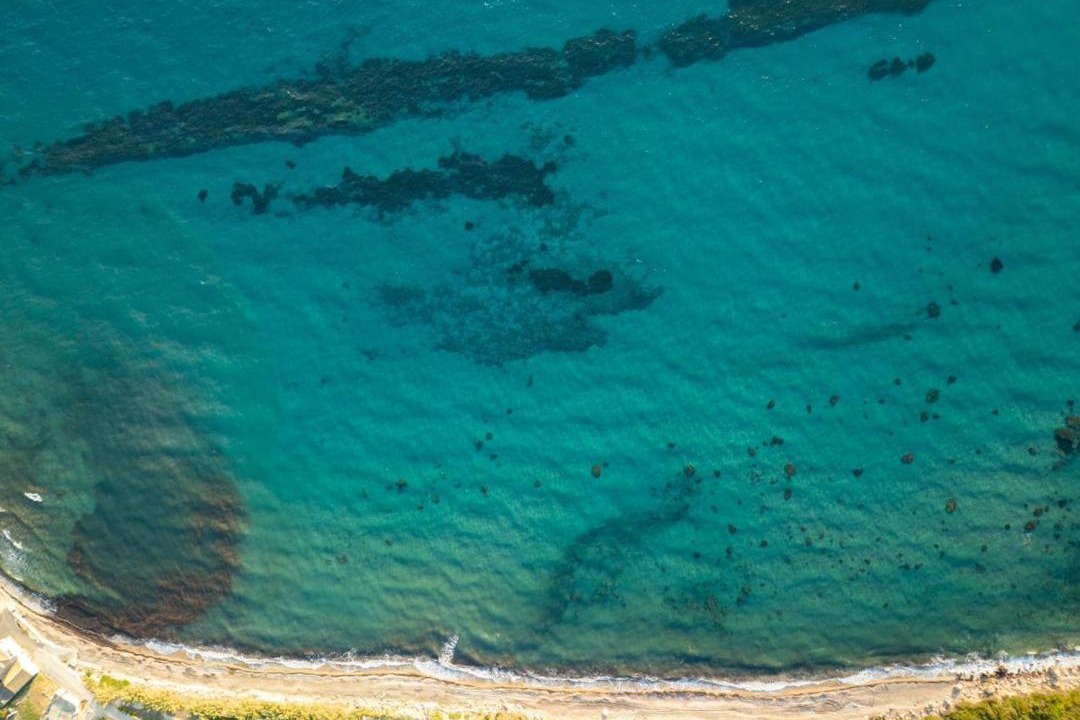 Photo of Others in Skala