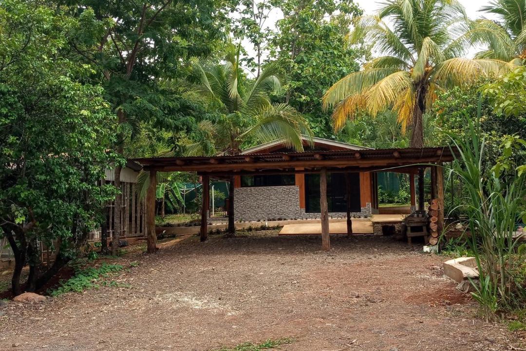 Photo of Others in Pacuare Reserve