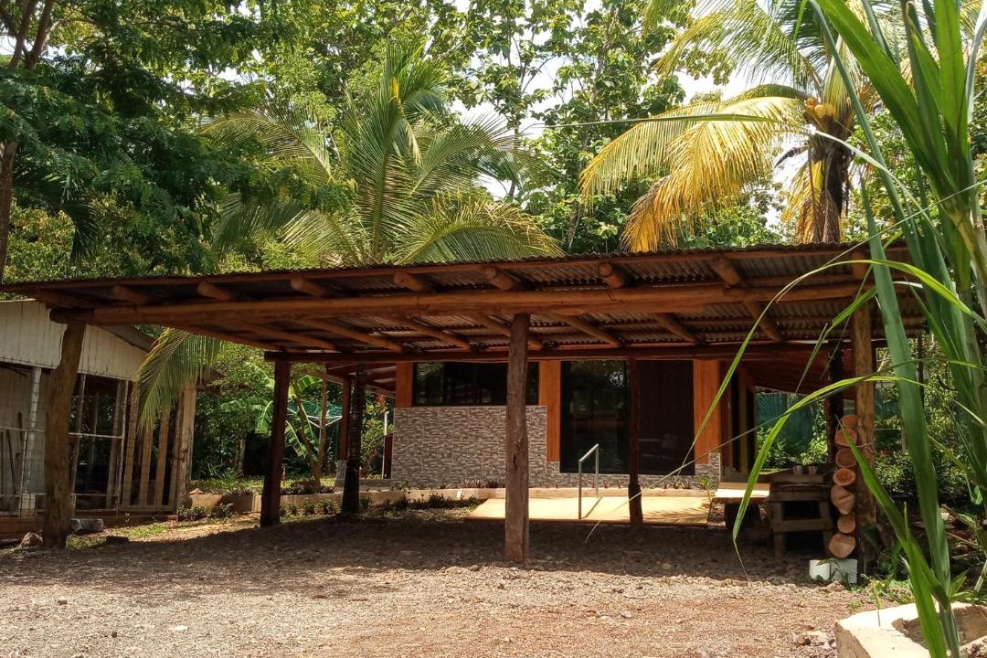Photo of Others in Pacuare Reserve
