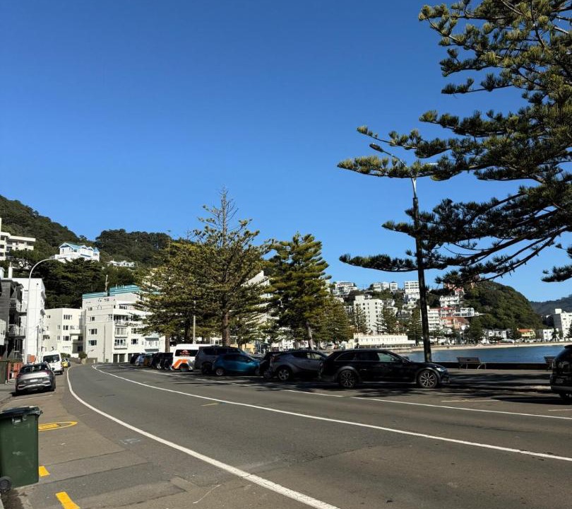 Photo of Others in Oriental Bay