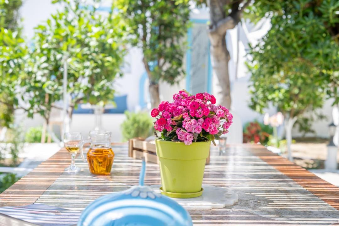 Photo of Others in Naxos Town