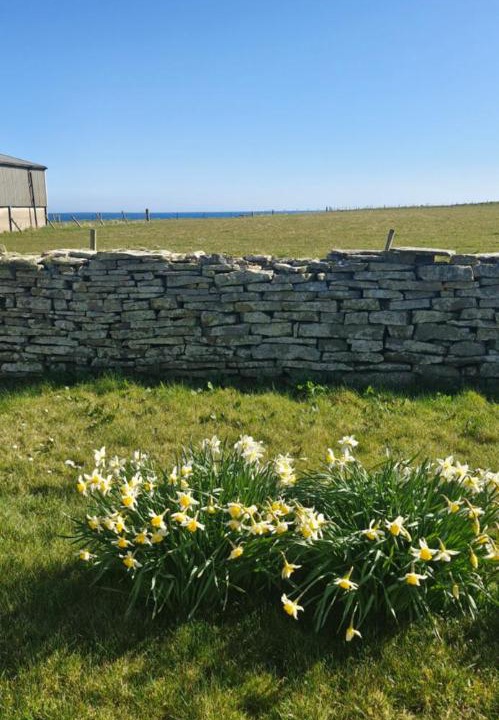 Photo of Others in Shapinsay