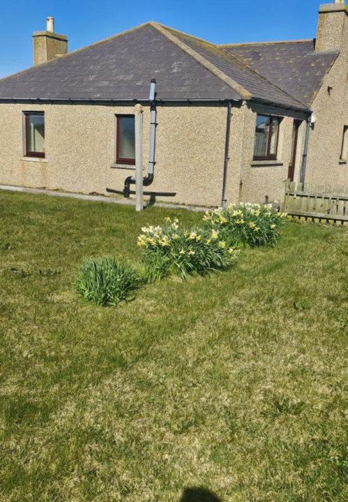 Photo of Others in Shapinsay