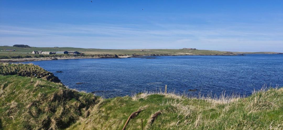 Photo of Others in Shapinsay