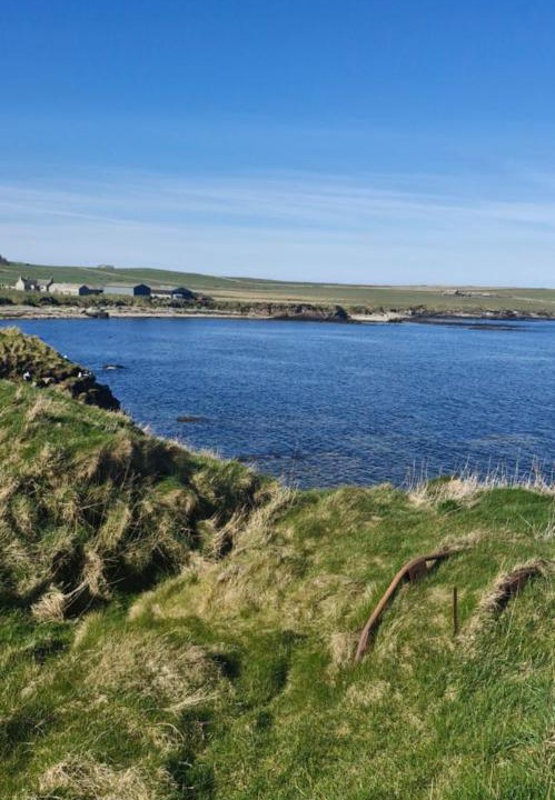 Photo of Others in Shapinsay