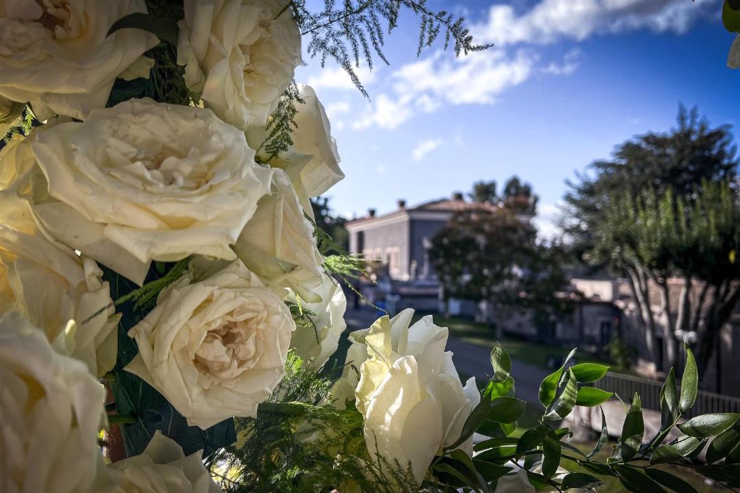 Photo of Others in Rovittello