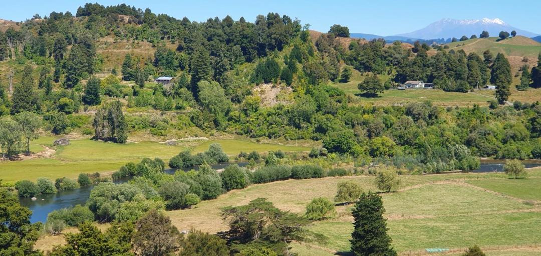 Photo of Others in Taumarunui