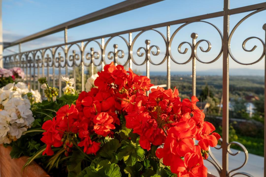 Photo of Patio Balcony in Katsaraiika