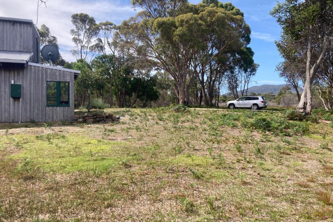 Photo of Others in Coles Bay