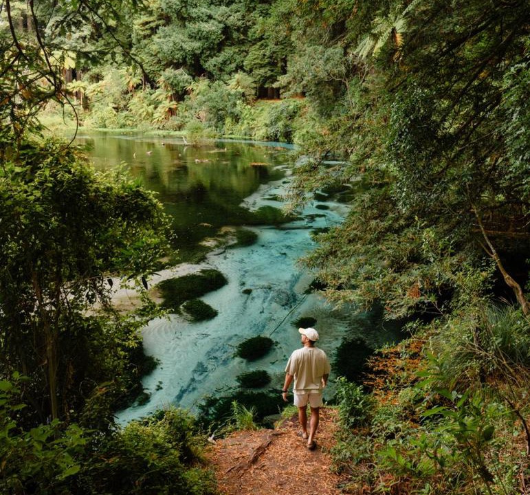 Photo of Others in Rotorua