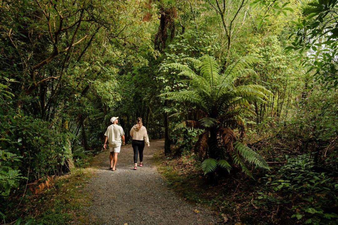 Photo of Others in Rotorua