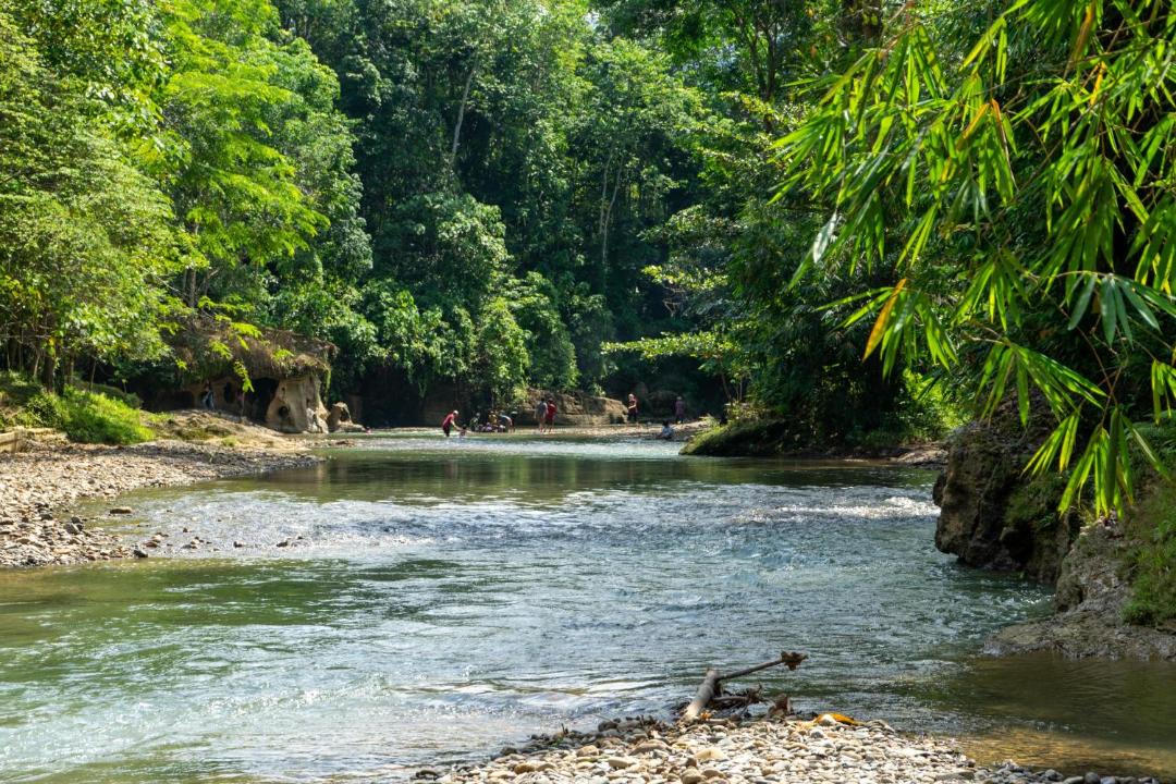 Photo of Others in Bohorok