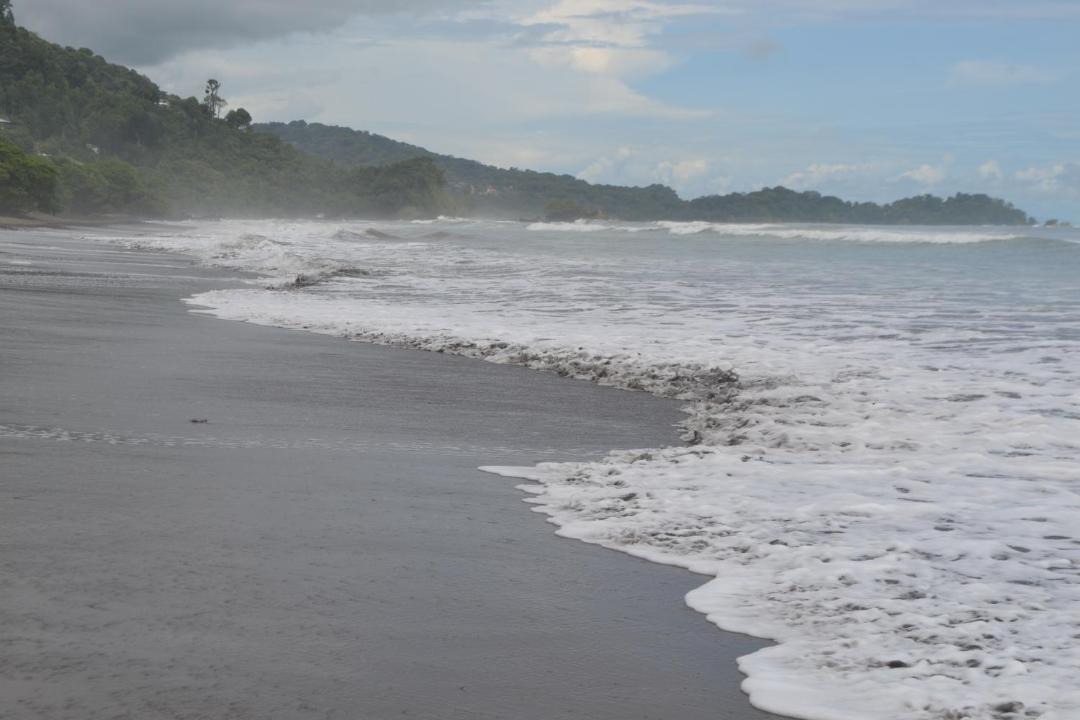 Photo of Others in Pacuare Reserve