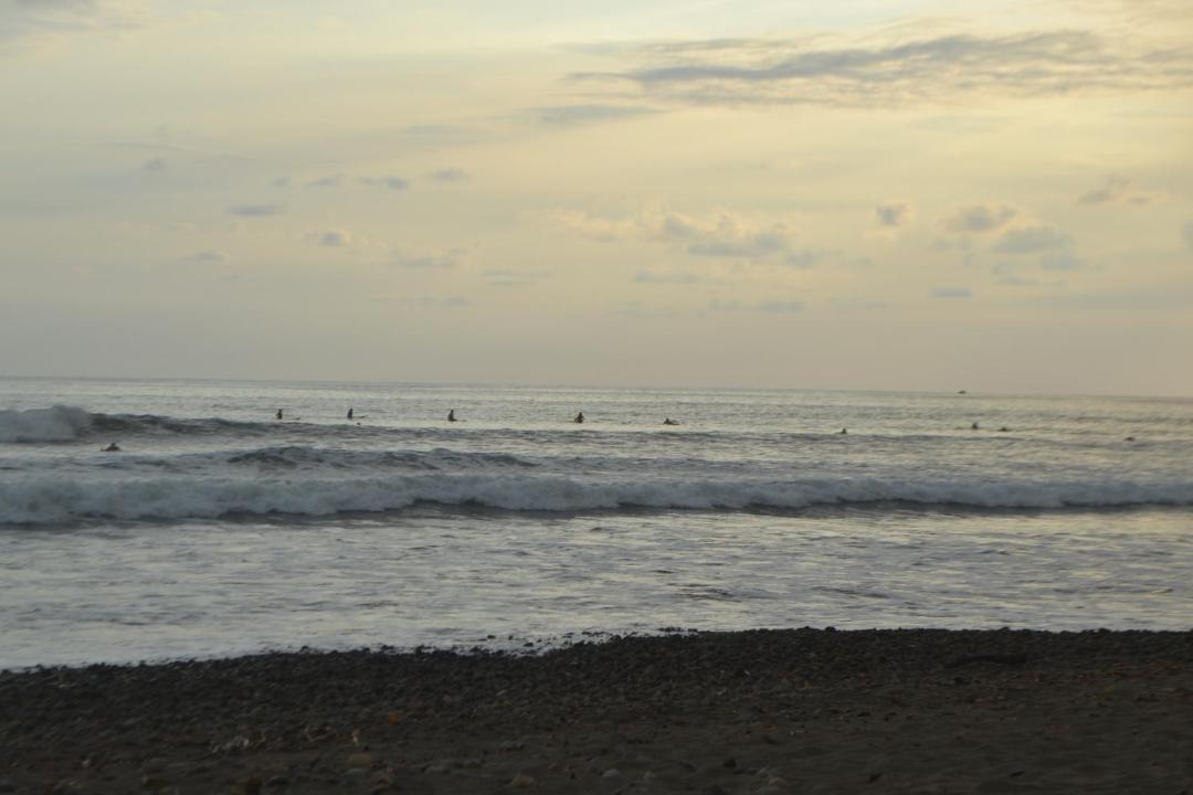 Photo of Others in Pacuare Reserve