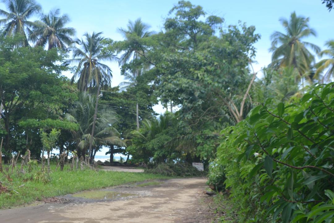 Photo of Others in Pacuare Reserve