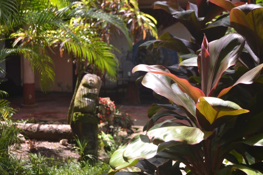 Photo of Others in Pacuare Reserve