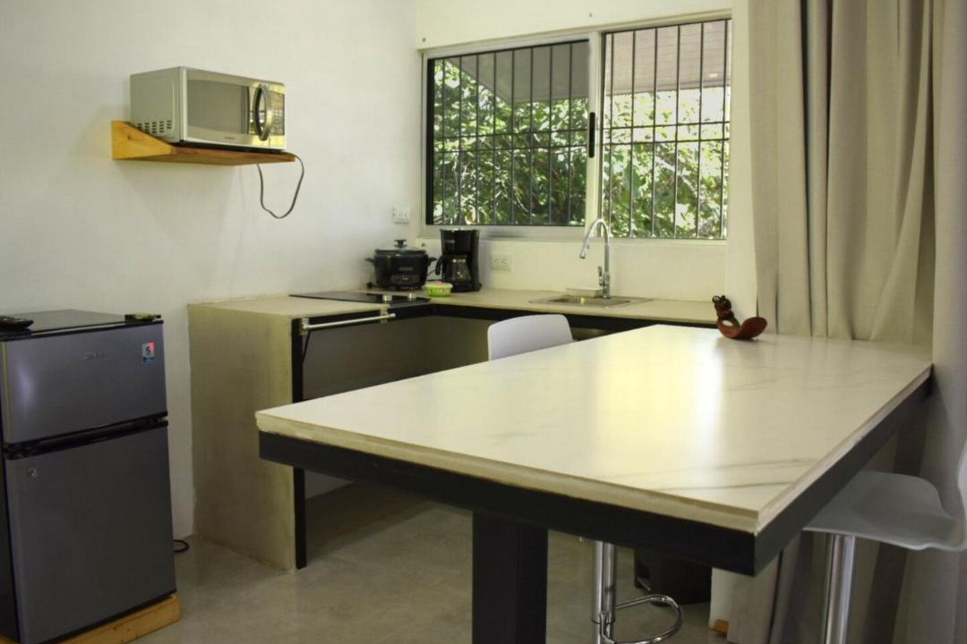 Photo of Kitchen in Turrialba