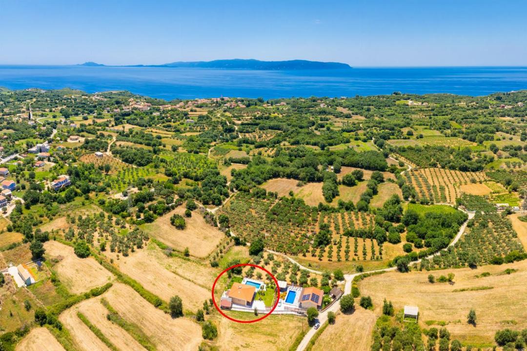 Photo of Others in Kolaitis