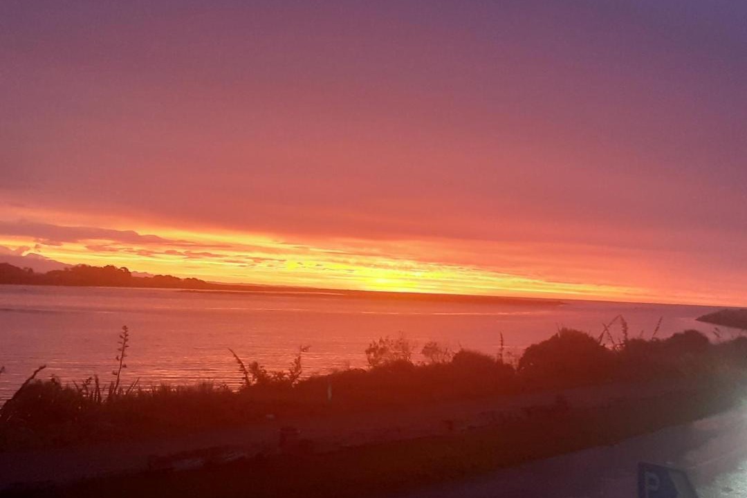 Photo of Others in Hokitika