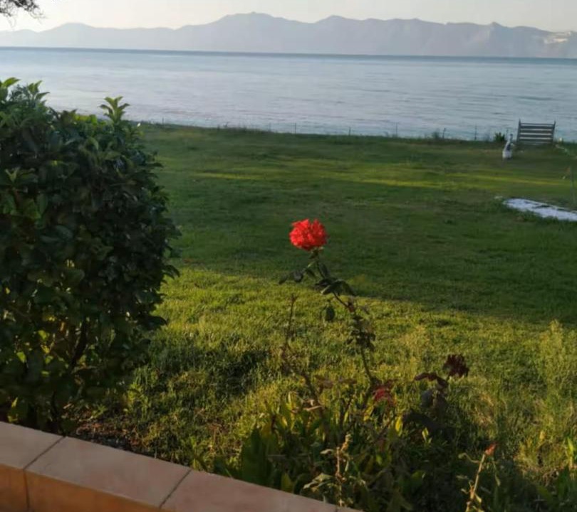 Photo of Others in Aravissos