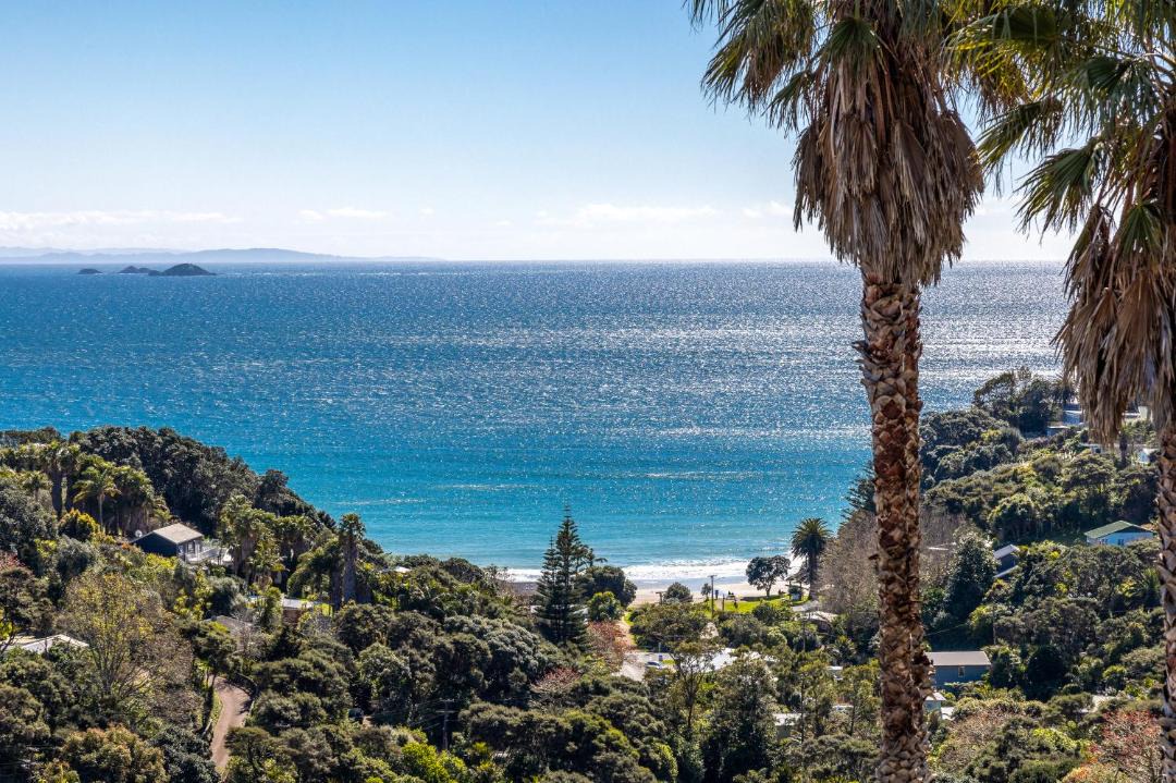 Photo of Others in Waiheke Island