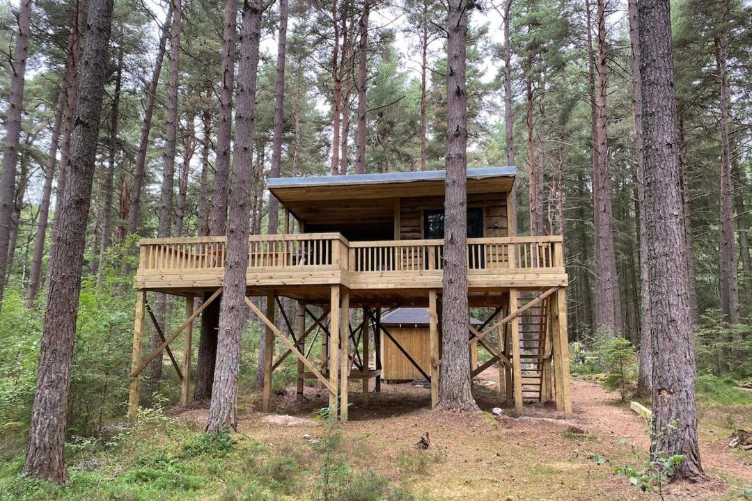 Photo of Others in Munlochy