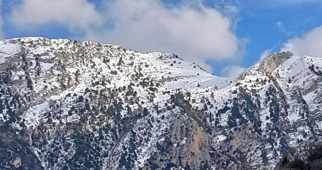 Photo of Others in Metsovo