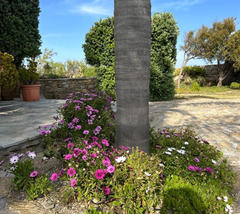 Photo of Outdoor in Plintri