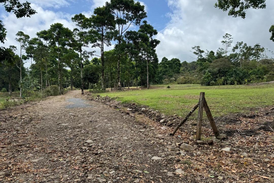 Photo of Others in Guapiles