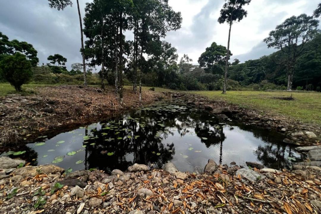 Photo of Others in Guapiles