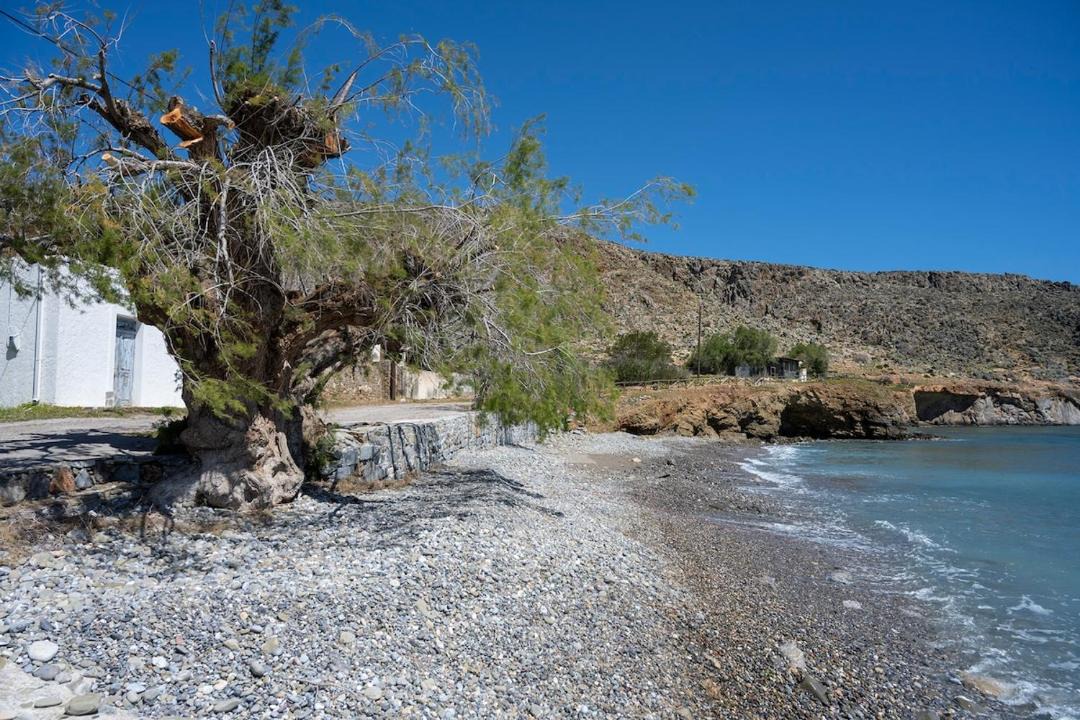Photo of Others in Sitia