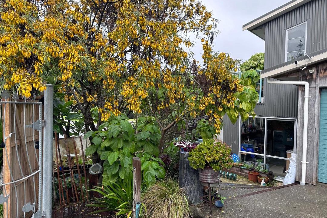 Photo of Others in Waikanae
